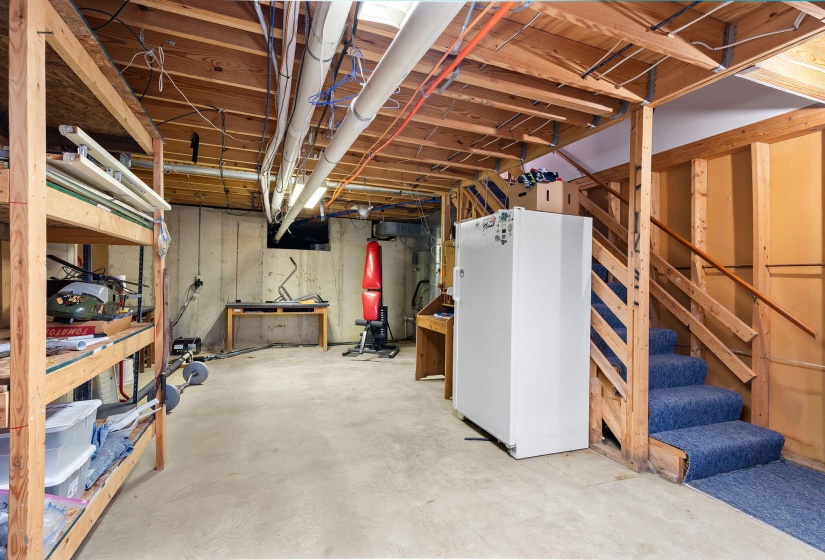 49-web-or-mls-DSC02093