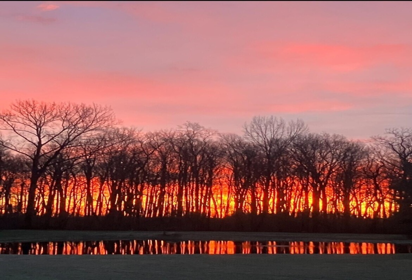 pond & sunset