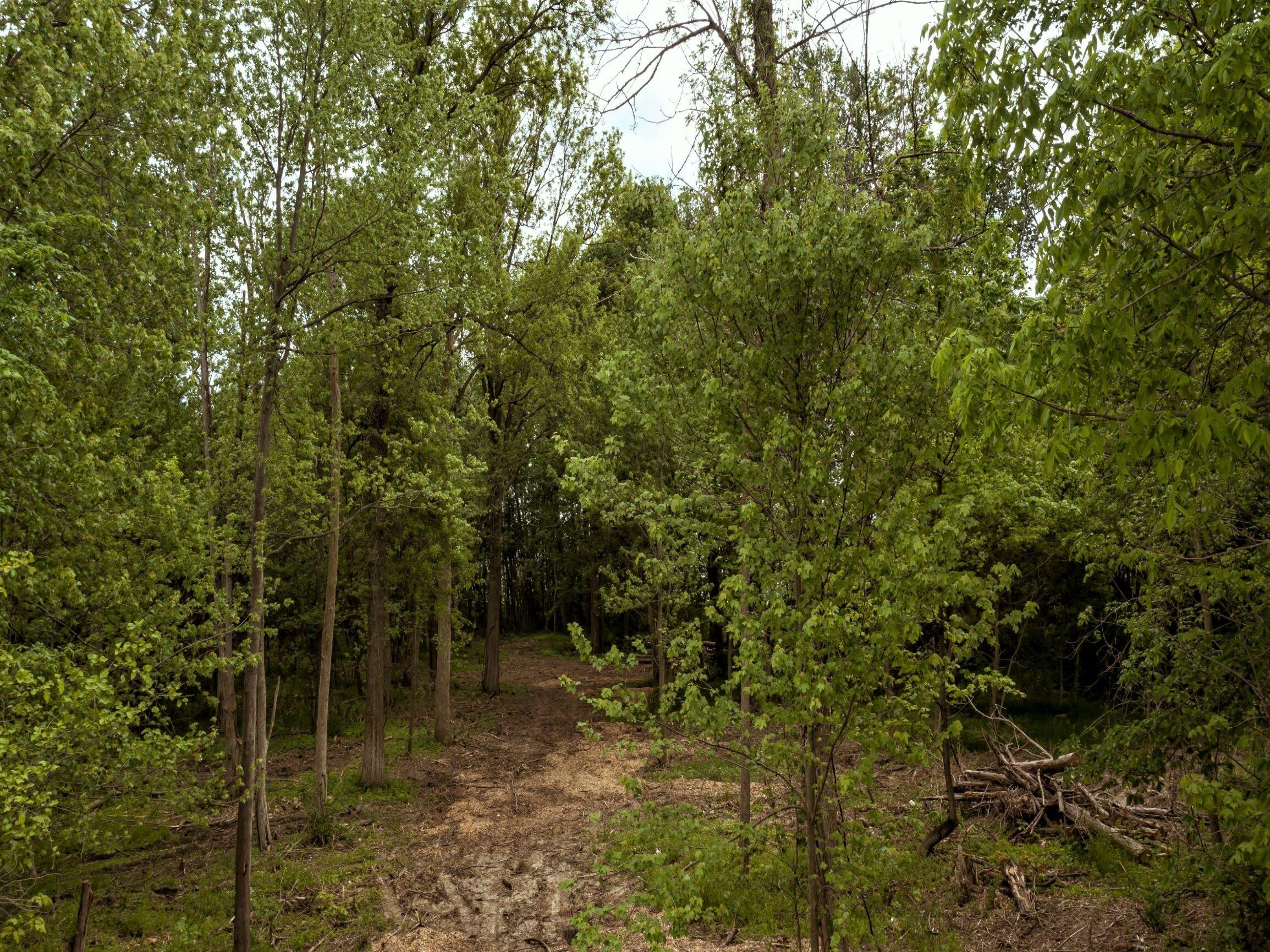 0 Springer 7-11 & Roadway 18 &19, Celina, Ohio 45822