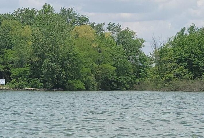 Springer East