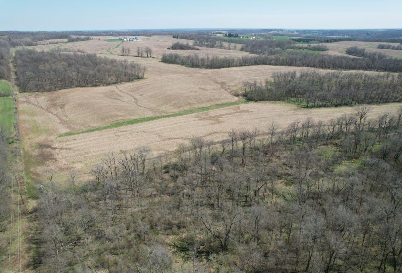 DJI_0703