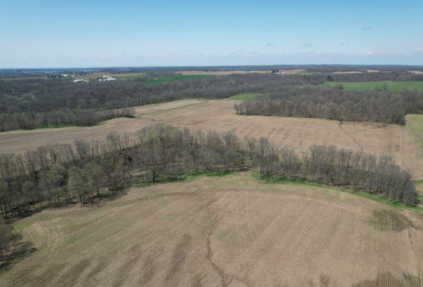 DJI_0691