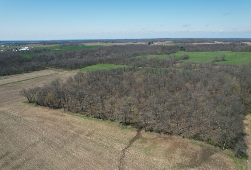 DJI_0693