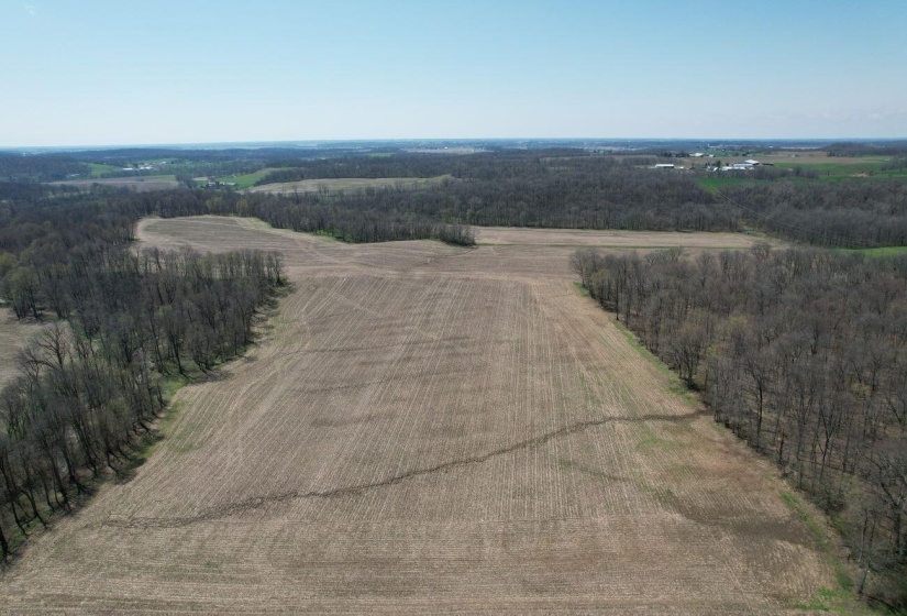 DJI_0694