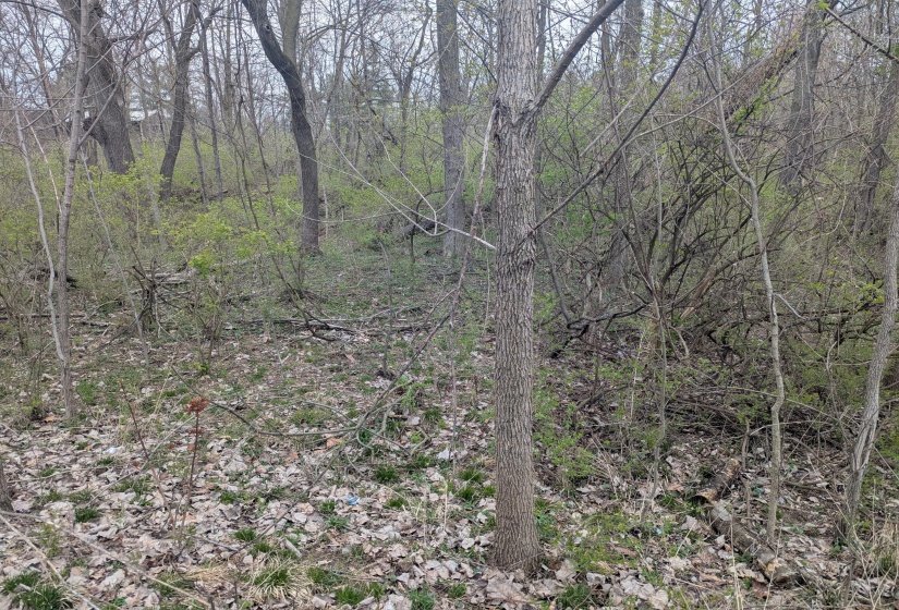 PXL_20250413_162047437