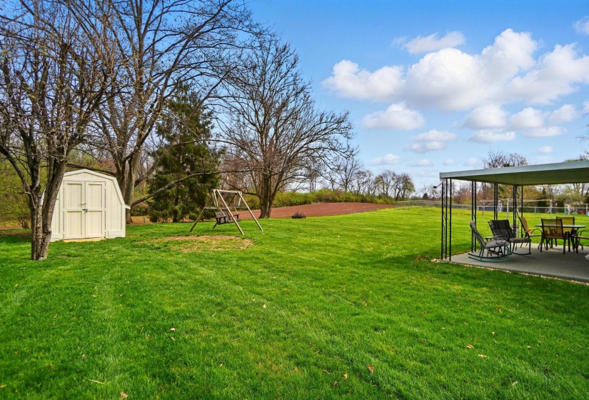 Back Yard