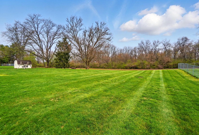 Backyard