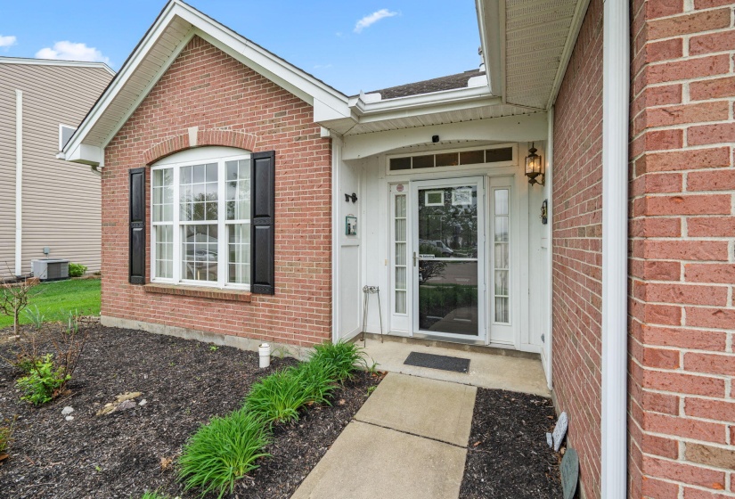 11-web-or-mls-DSC08702