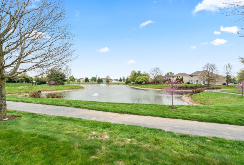 52-web-or-mls-DSC08711