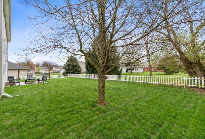 31-web-or-mls-DSC04445