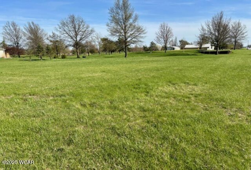 0 SR 115 & RD J, Ottawa, Ohio, ,Land,For Sale,SR 115 & RD J,306831