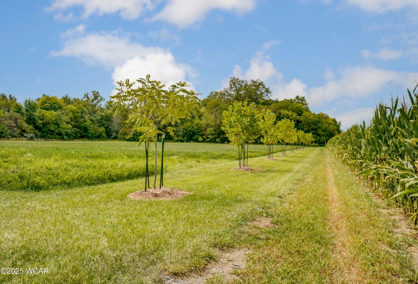 TBD Dog Creek Road, Middle Point, Ohio, ,Land,For Sale,Dog Creek,306834