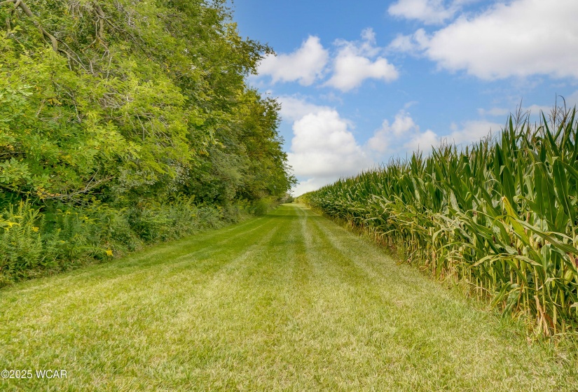 TBD Dog Creek Road, Middle Point, Ohio, ,Land,For Sale,Dog Creek,306834