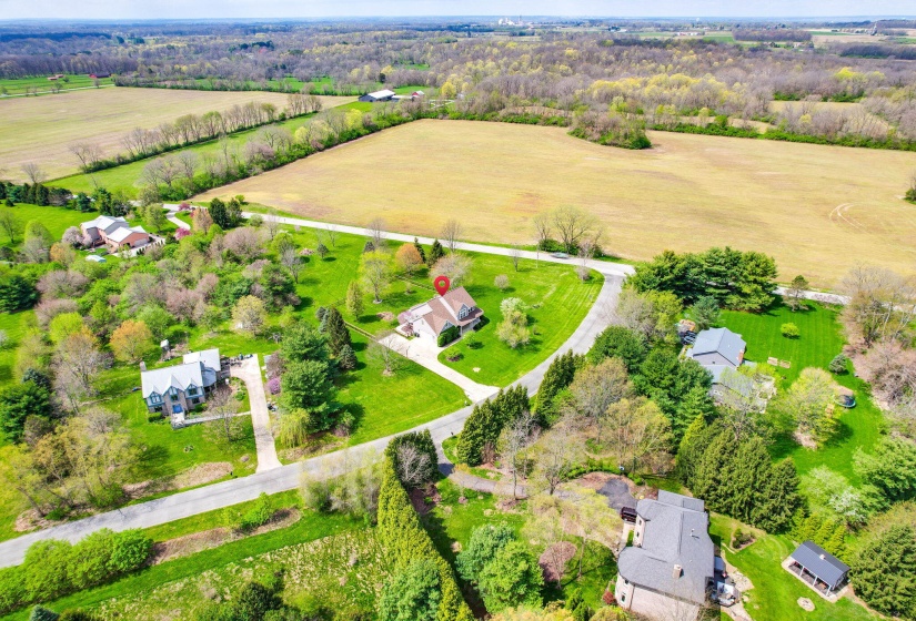53-web-or-mls-2025 04 21 - 521GoldenWill