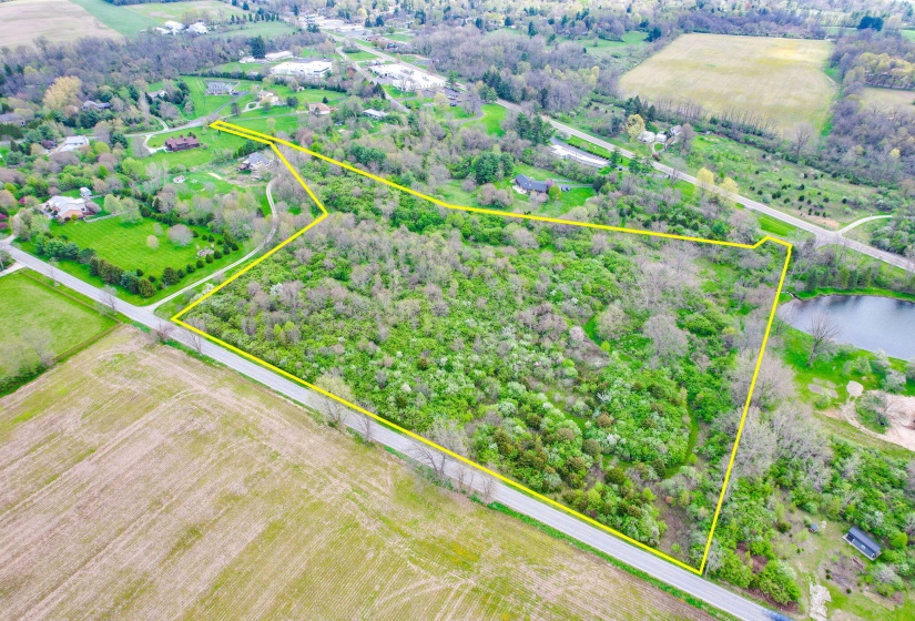 58-web-or-mls-2025 04 21 - 521GoldenWill