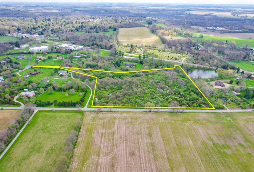 61-web-or-mls-2025 04 21 - 521GoldenWill