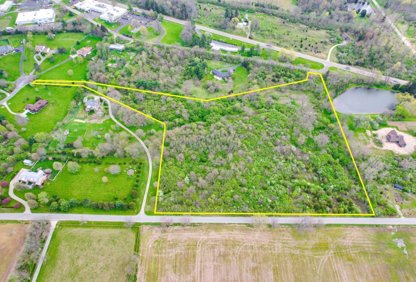 62-web-or-mls-2025 04 21 - 521GoldenWill