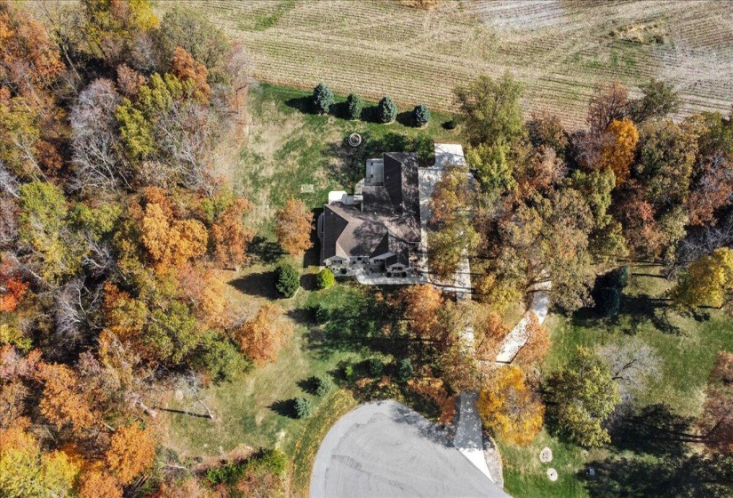 05-03-DJI_0770