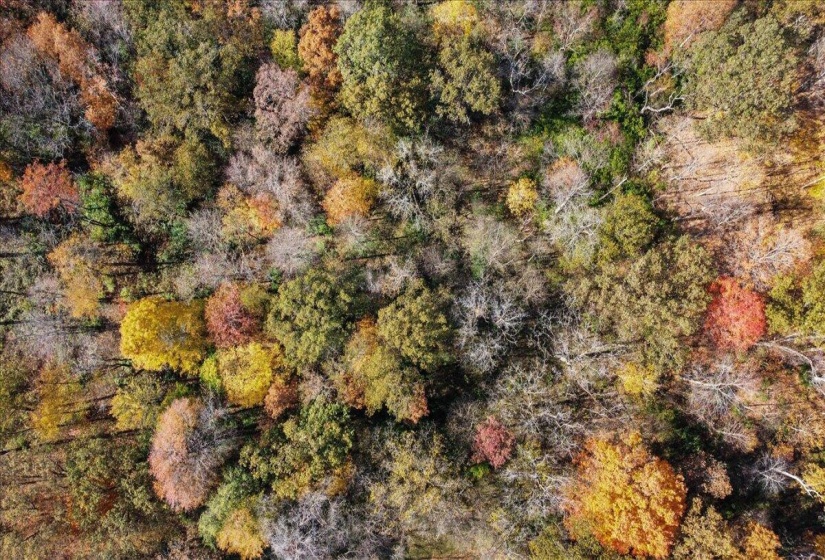 66-29-DJI_0769