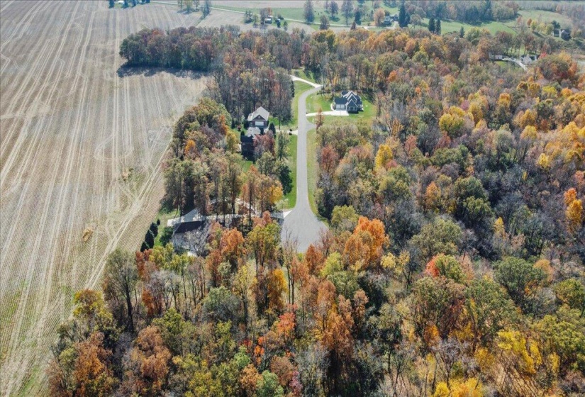 72-26-DJI_0776