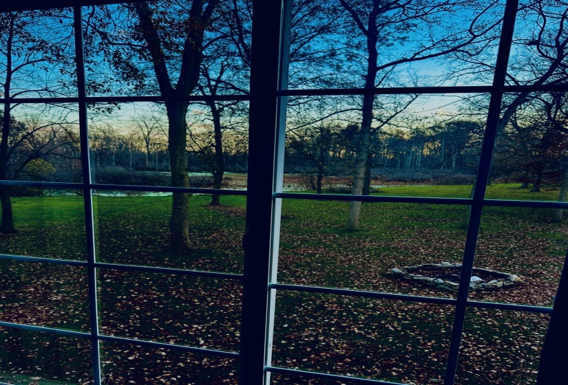 Window view of extra lots