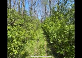 8154 Crowl Road, De Graff, Ohio 43318, ,Land,For Sale,Crowl,1038305