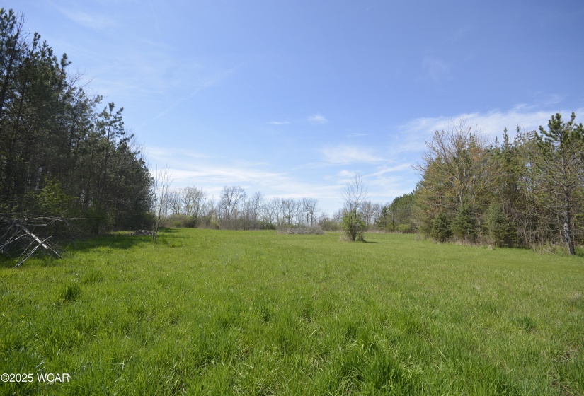 2551 Breese Road, Lima, Ohio, ,Land,For Sale,Breese,306873