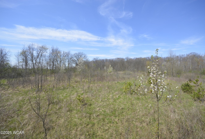2551 Breese Road, Lima, Ohio, ,Land,For Sale,Breese,306873