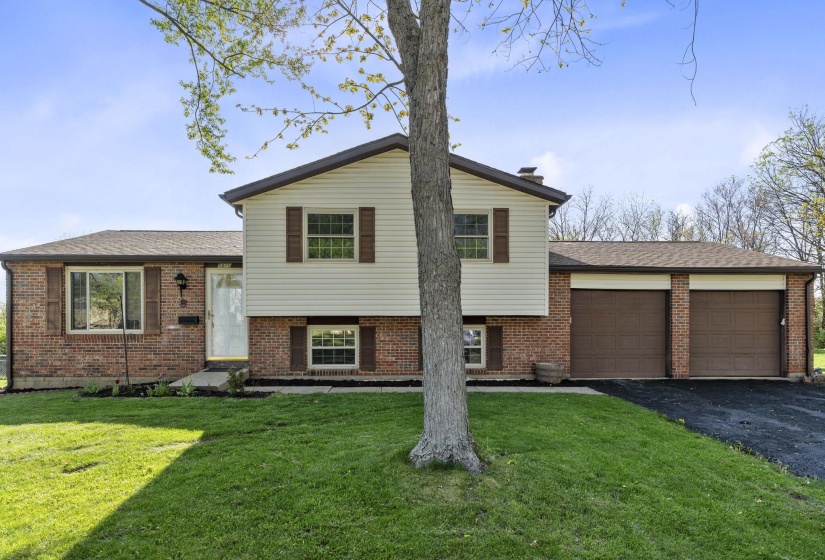 2-web-or-mls-DSC07479