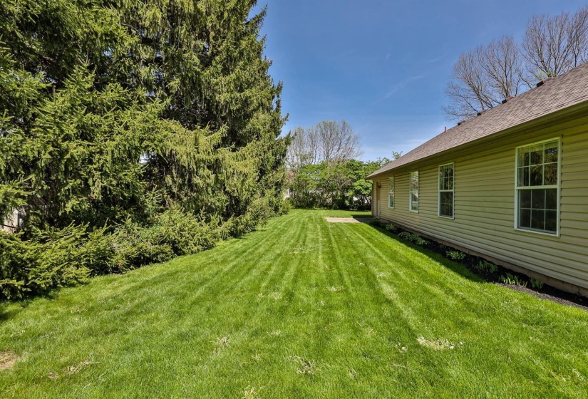 029-Yard