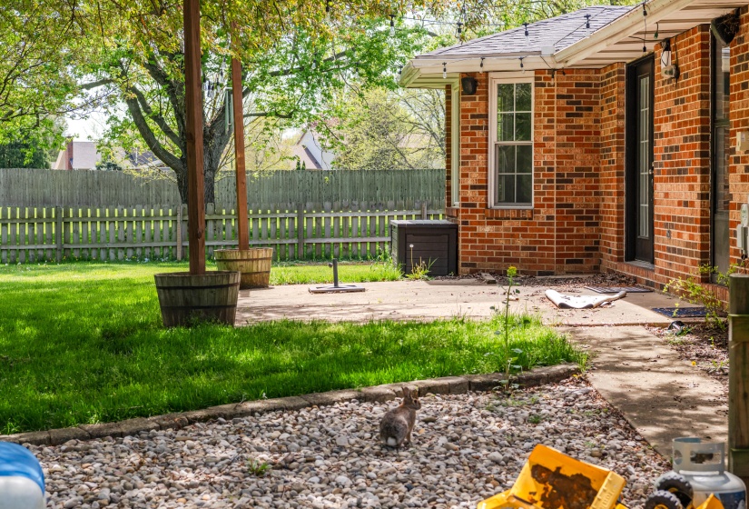 2245 Shenandoah 57