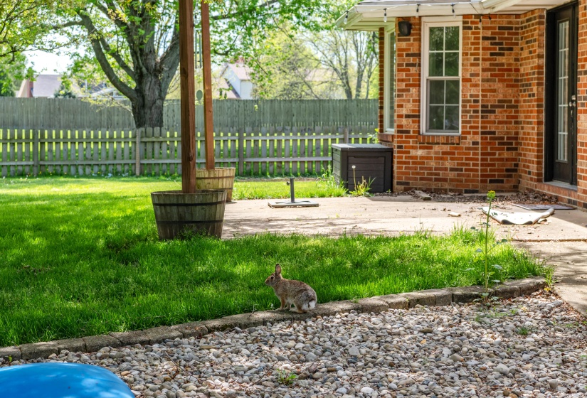 2245 Shenandoah 58
