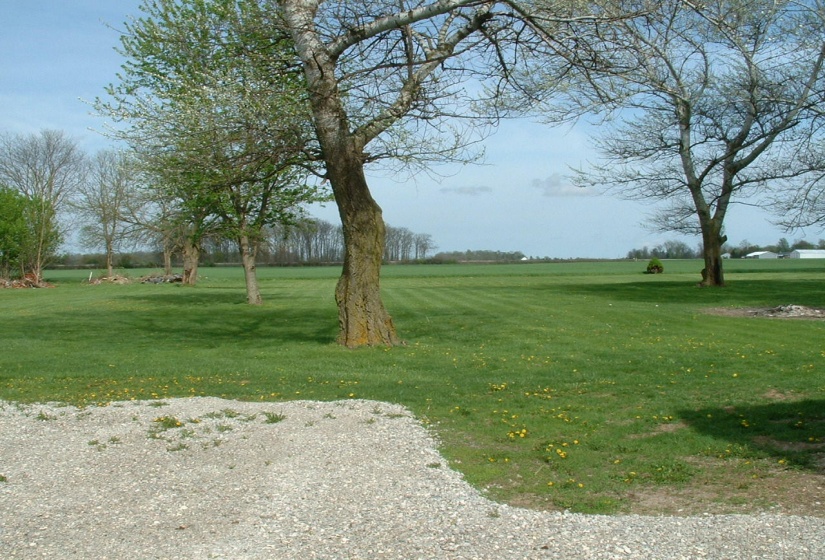 yard