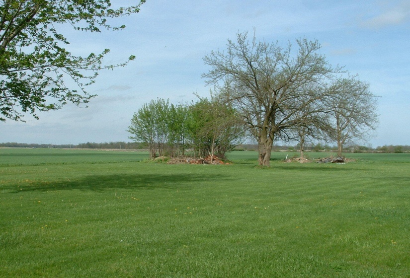 yard