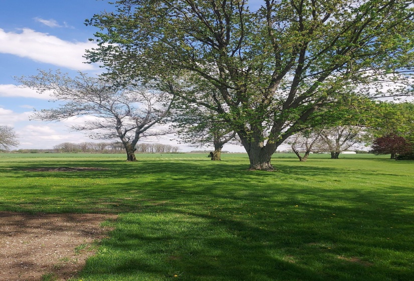 great yard