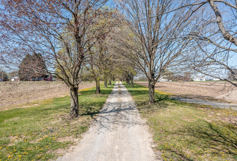 Driveway