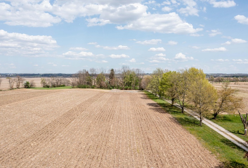 View of the Property