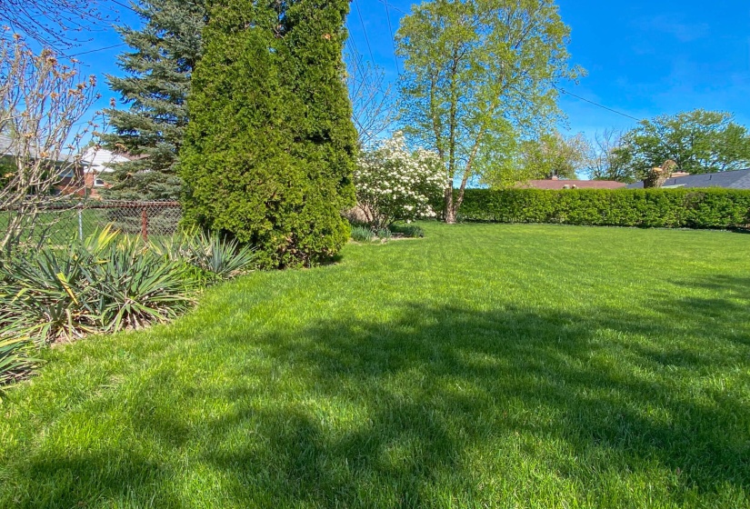725 Larriwood-33 - Copy