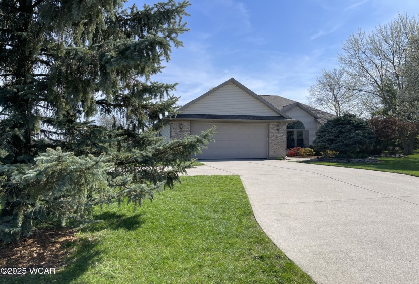 Driveway view
