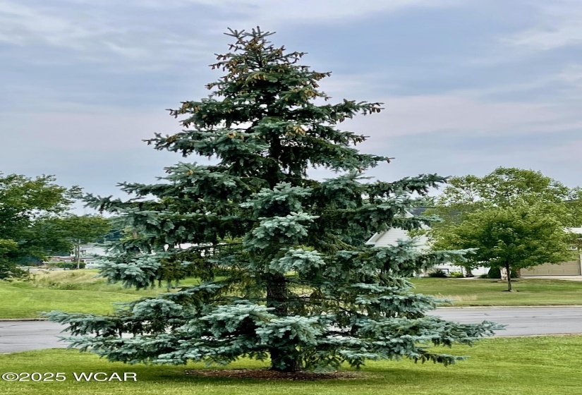 746 Eastgate Drive, Spencerville, Ohio, 3 Bedrooms Bedrooms, ,2 BathroomsBathrooms,Residential,For Sale,Eastgate,306853