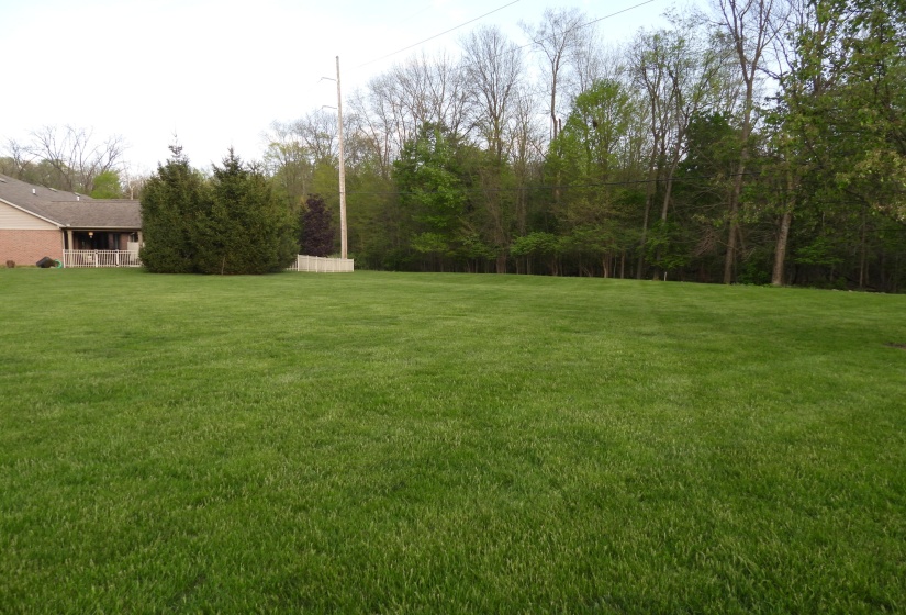 Rear Yard
