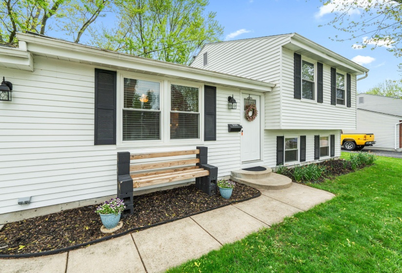 11-web-or-mls-DSC08693