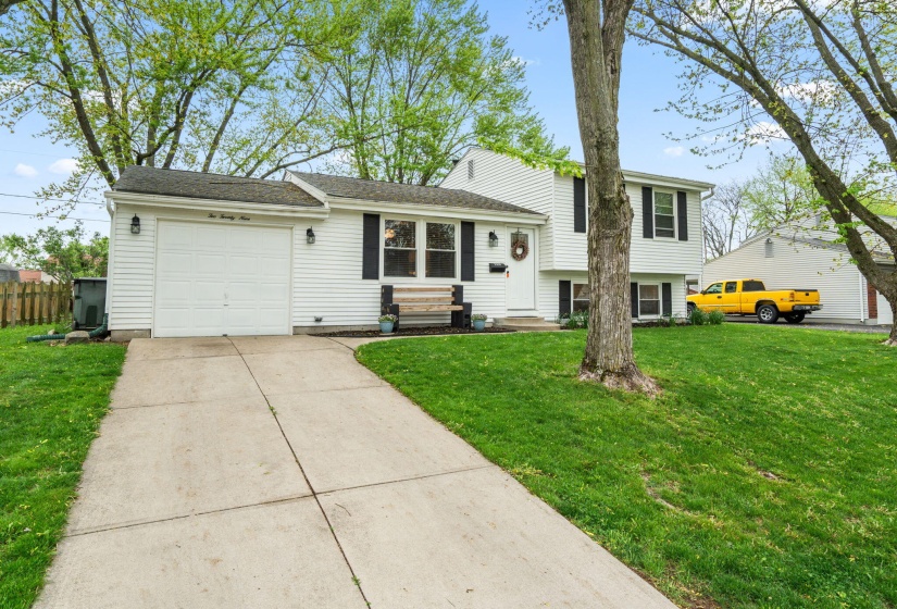 9-web-or-mls-DSC08687