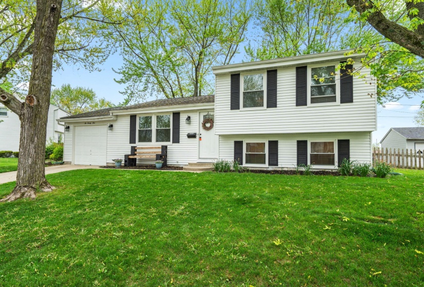 10-web-or-mls-DSC08690