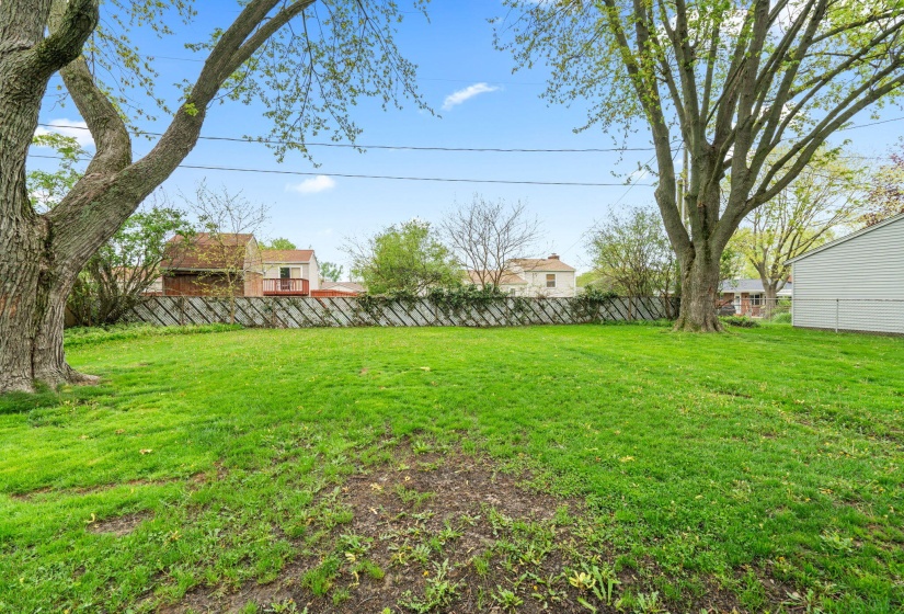 44-web-or-mls-DSC08678
