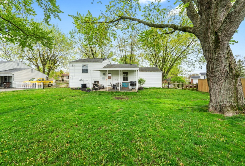45-web-or-mls-DSC08681