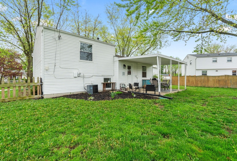 46-web-or-mls-DSC08684