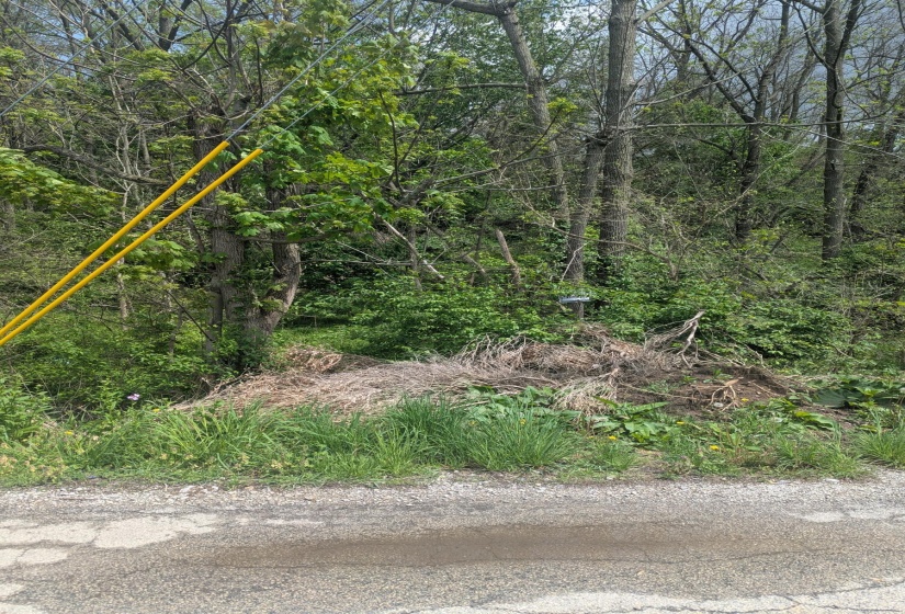 PXL_20250502_182019774