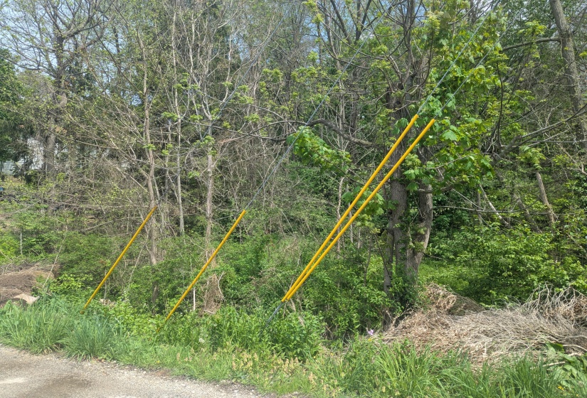 PXL_20250502_182023882