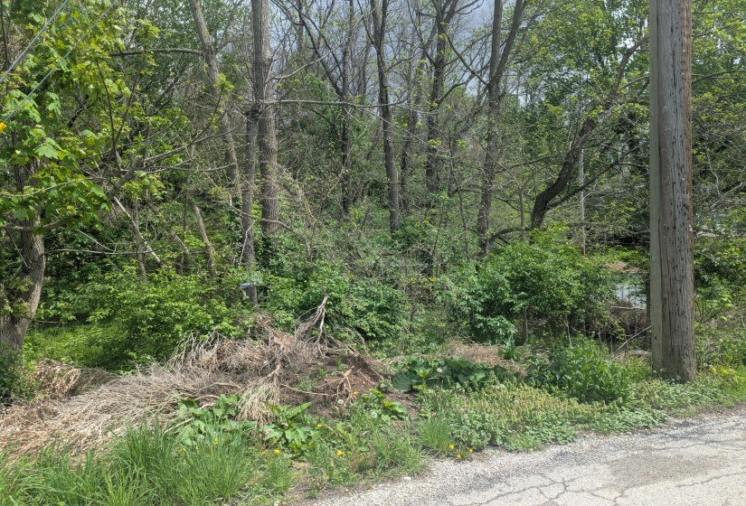 PXL_20250502_182025863